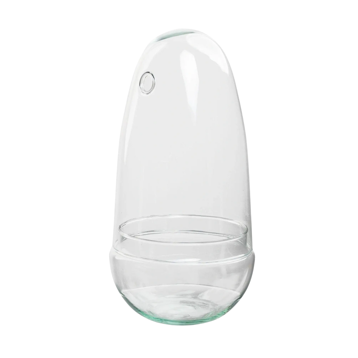 Gesloten terrarium - Bolglas Egg Everspring