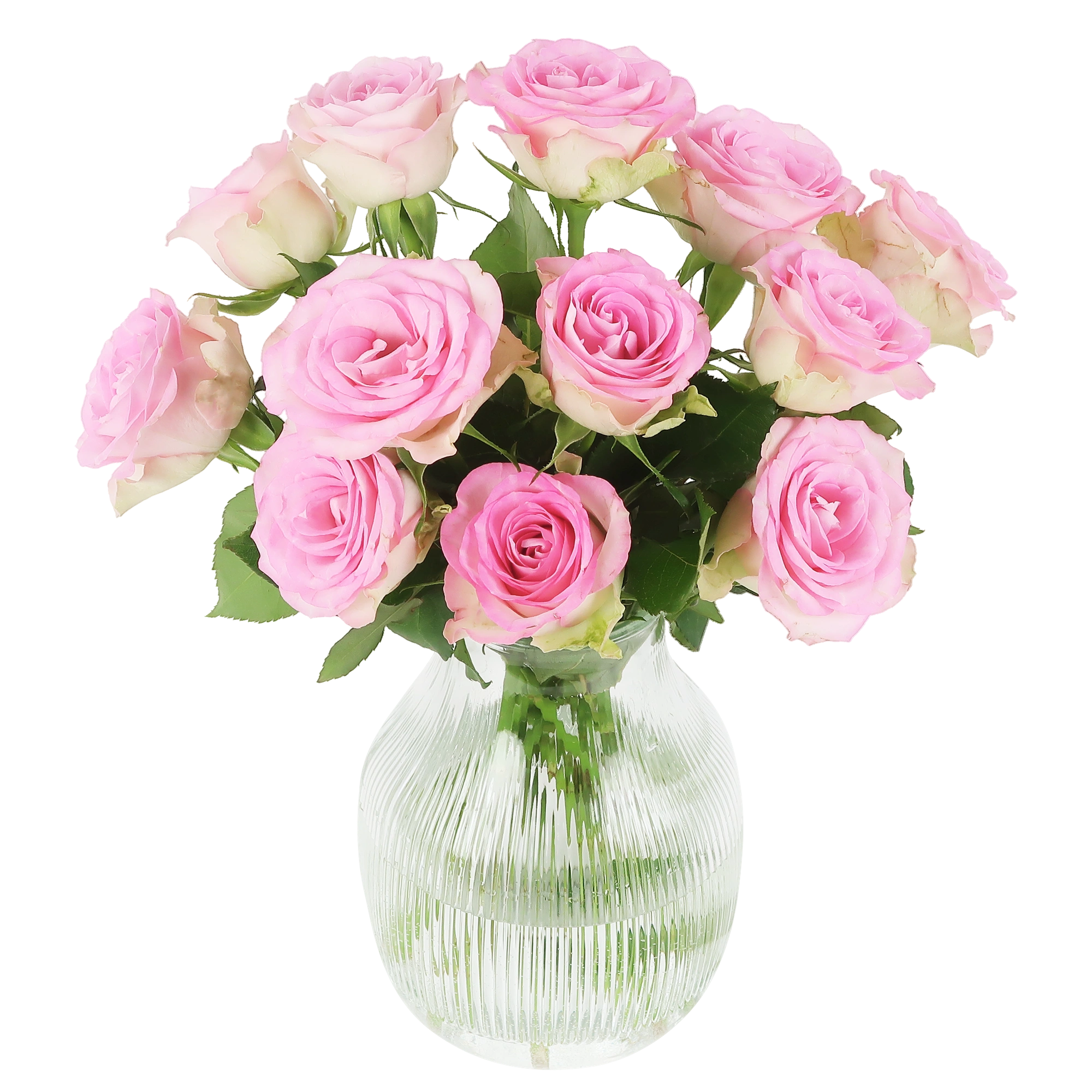 Sweet Roses - Roze Rozen in Brievenbuspakket