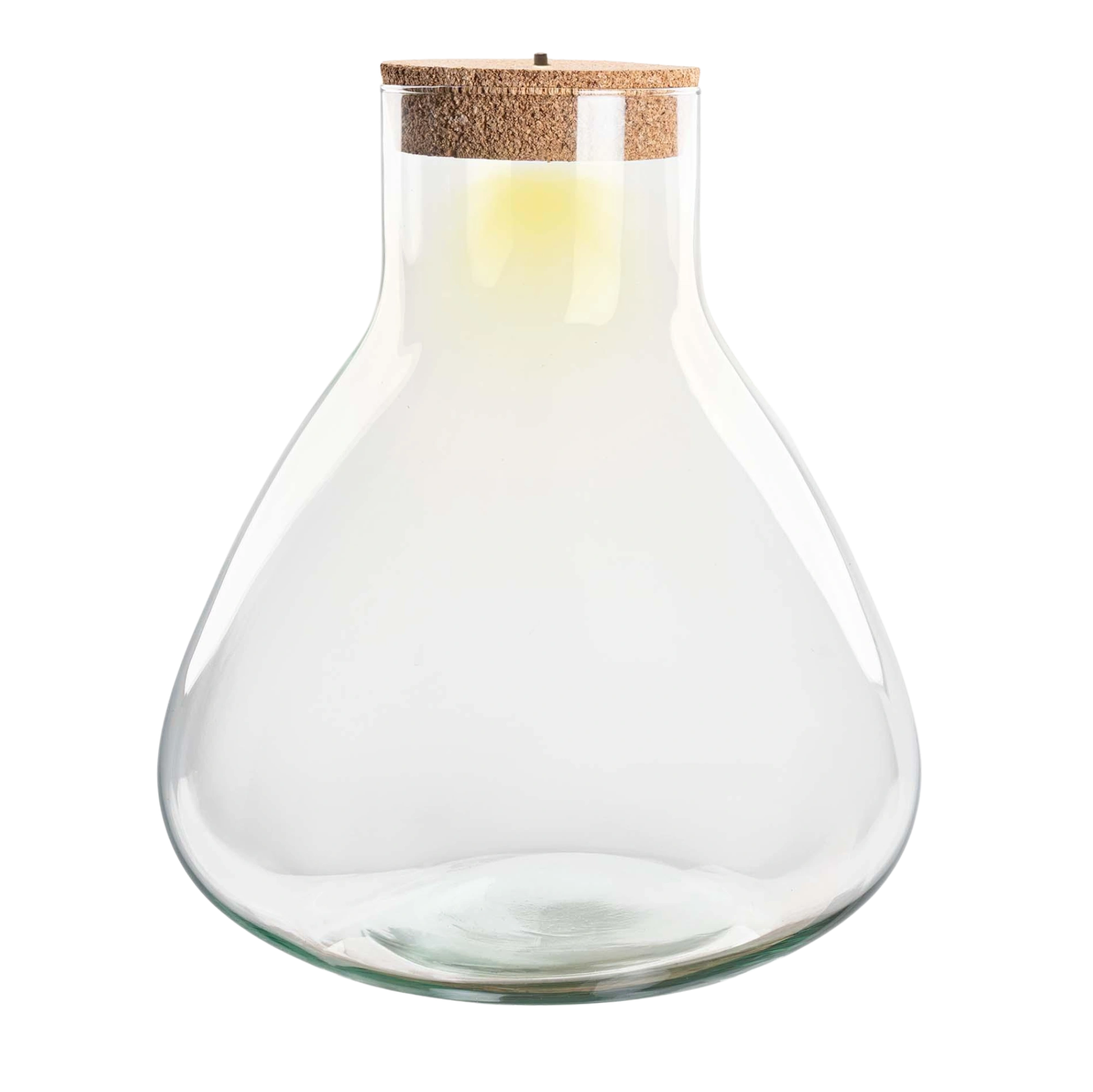 Terrarium fles - Erlenmeyer XL met verlichting in kurk Everspring