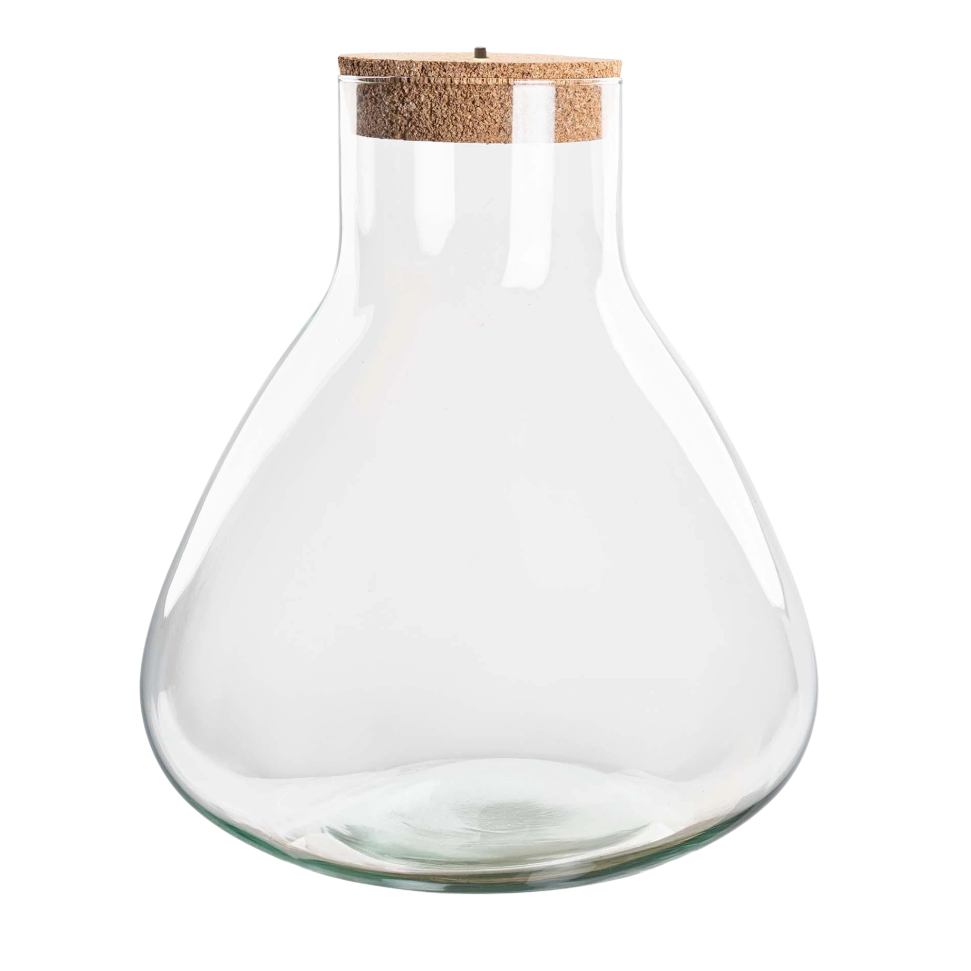 Terrarium fles - Erlenmeyer XL met verlichting in kurk