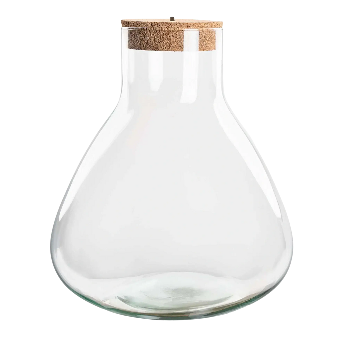 Terrarium fles - Erlenmeyer XL met verlichting in kurk Everspring