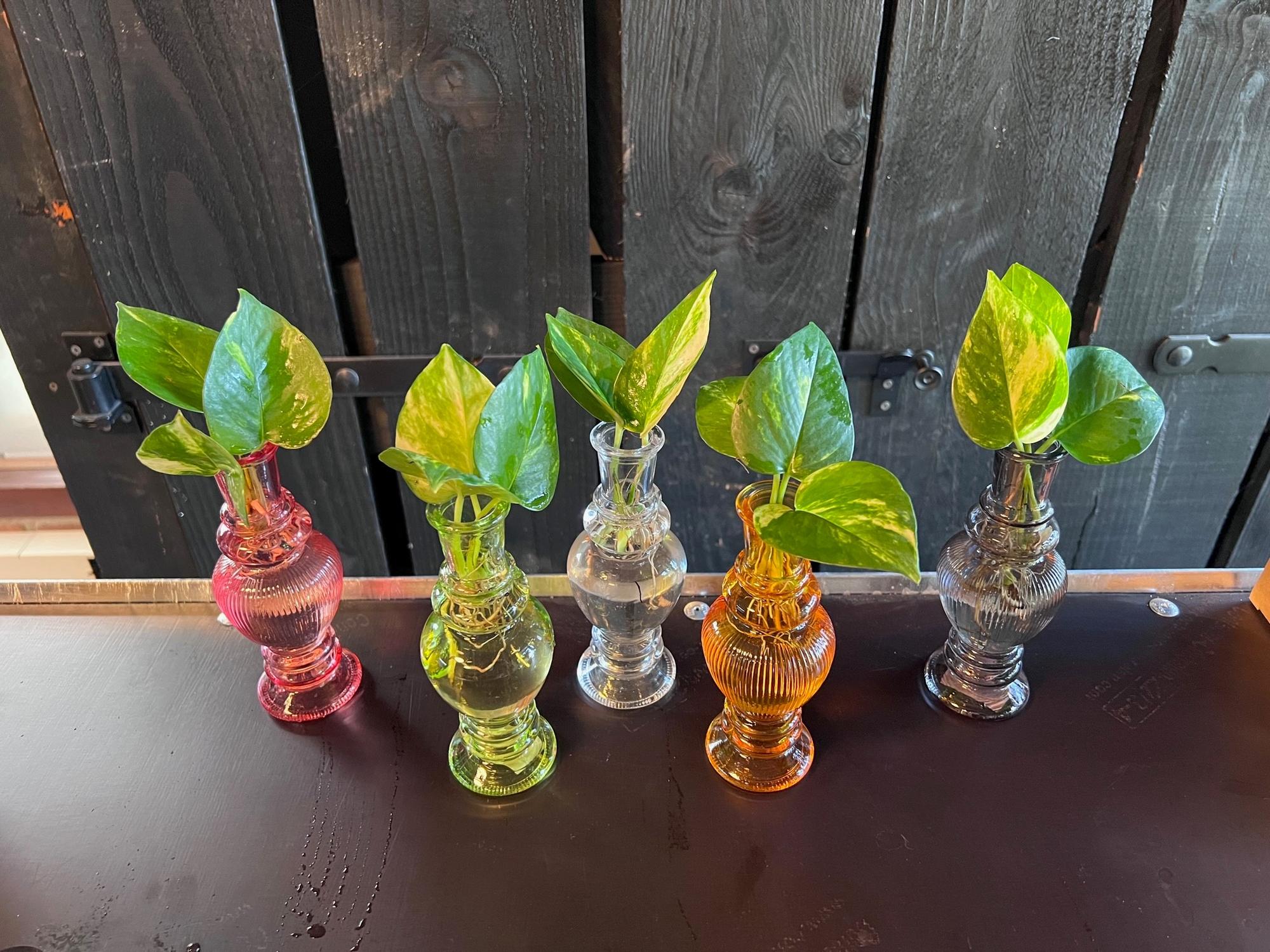 Venice Glas Mix