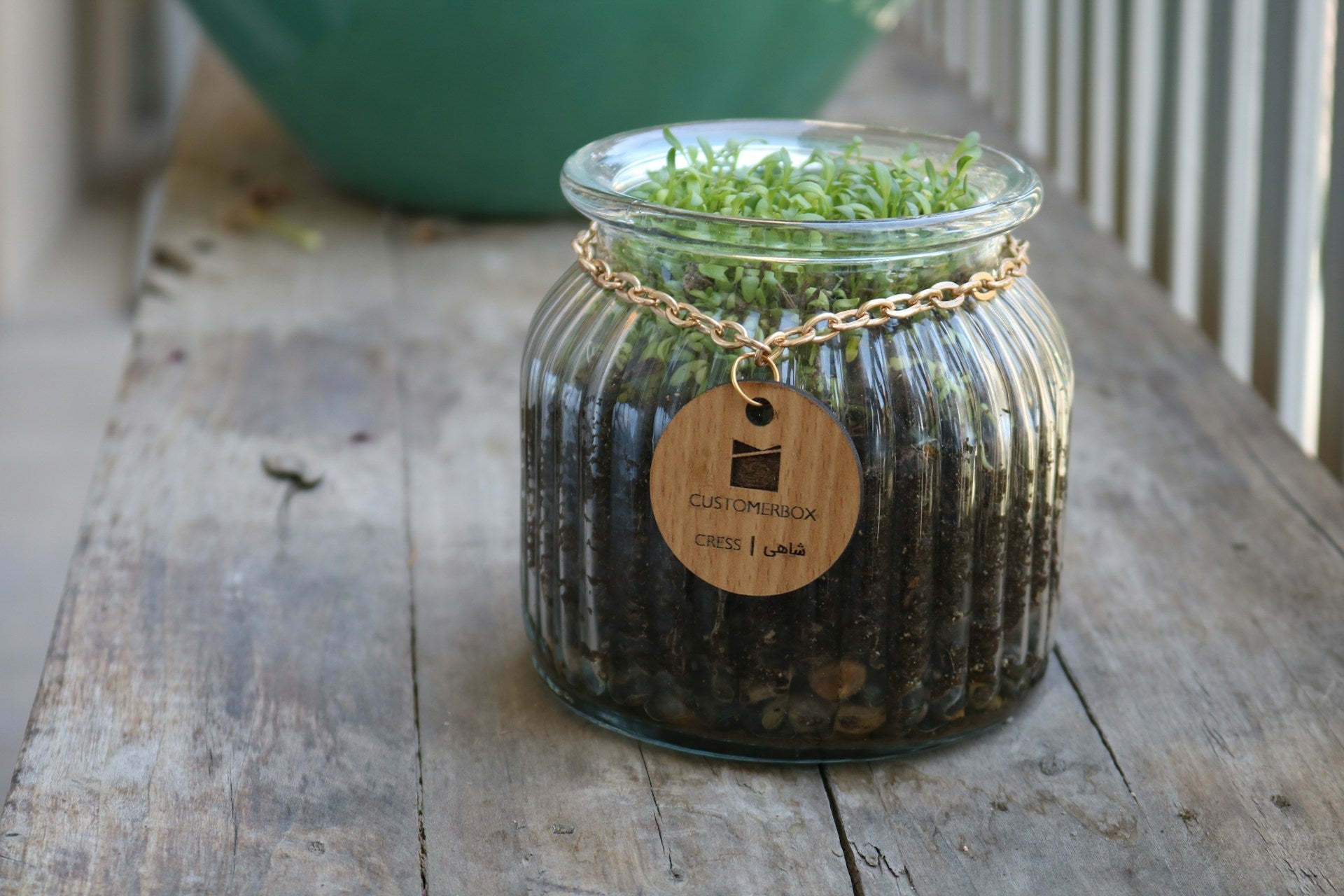 Groene Cadeaus