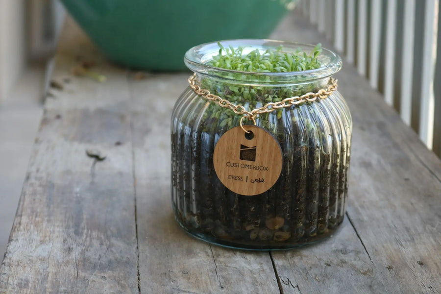 Groene-Cadeaus Leven met Groen