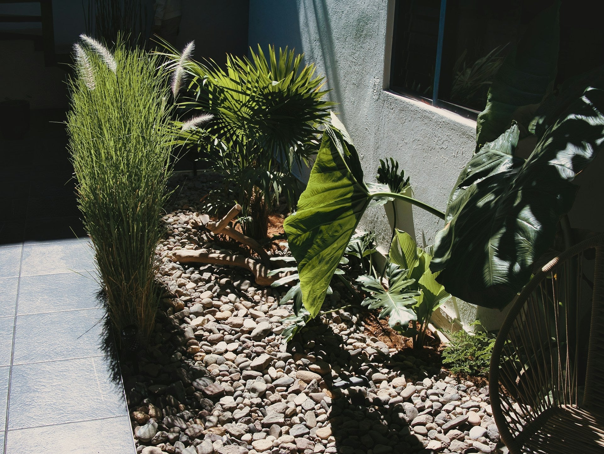 Half Schaduw Tuinplanten