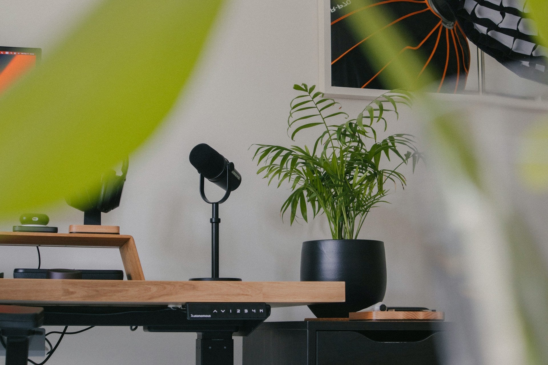 Bureau- en Kantoorplanten