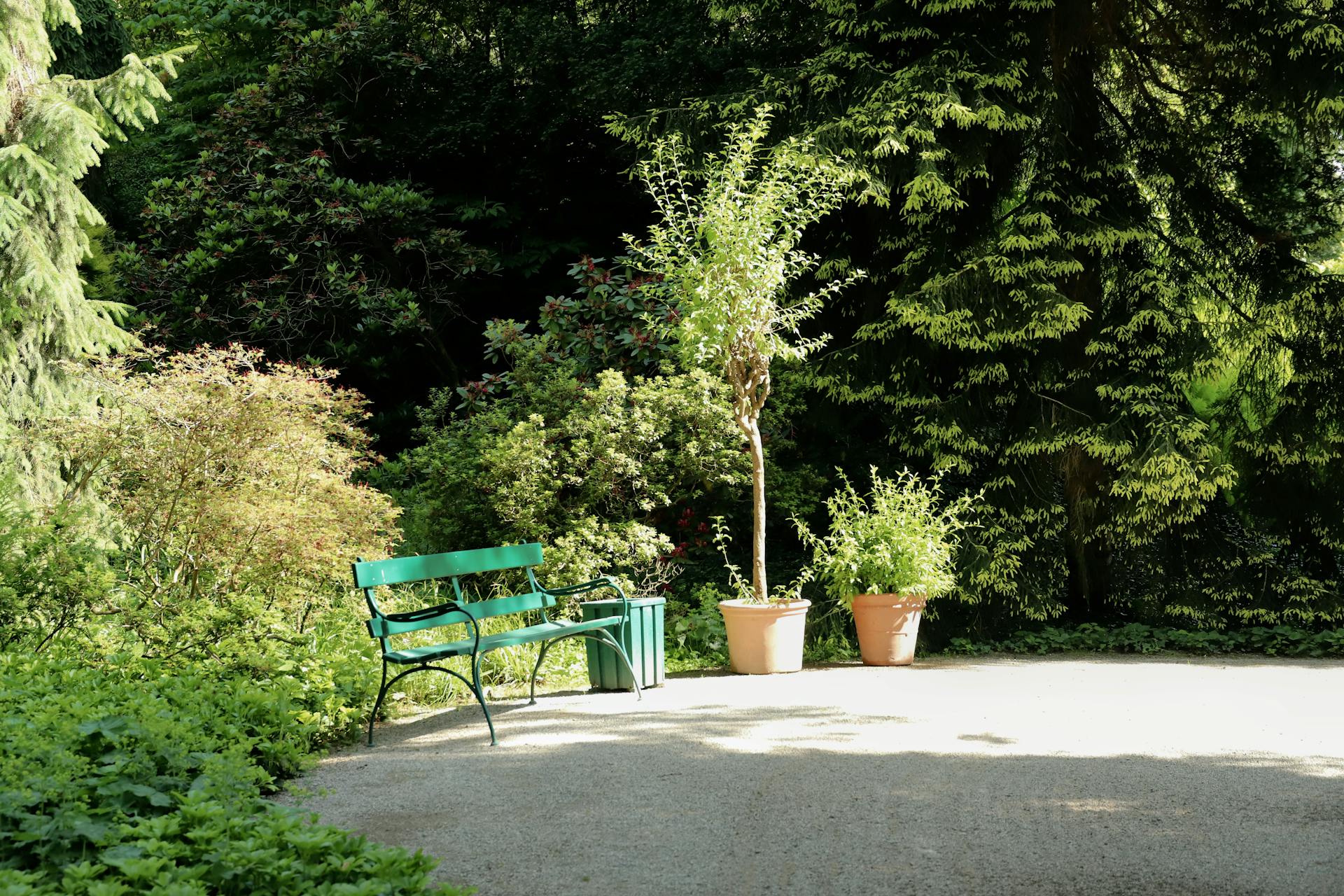 Bomen