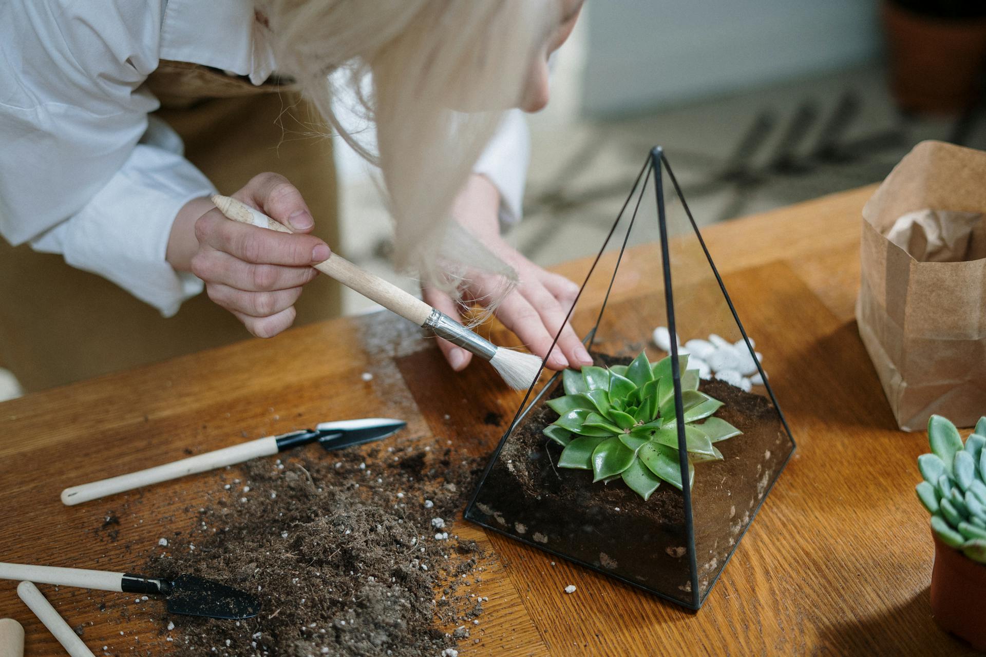 Terrarium Accessoires