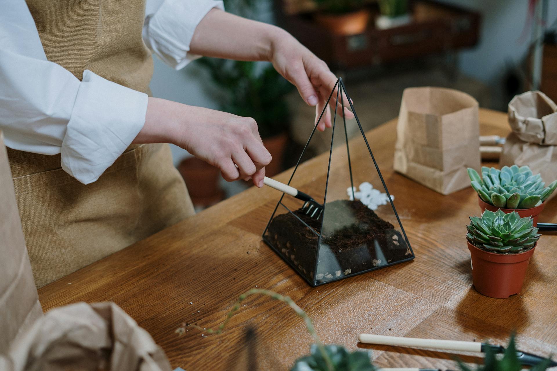 Terrarium Gereedschap