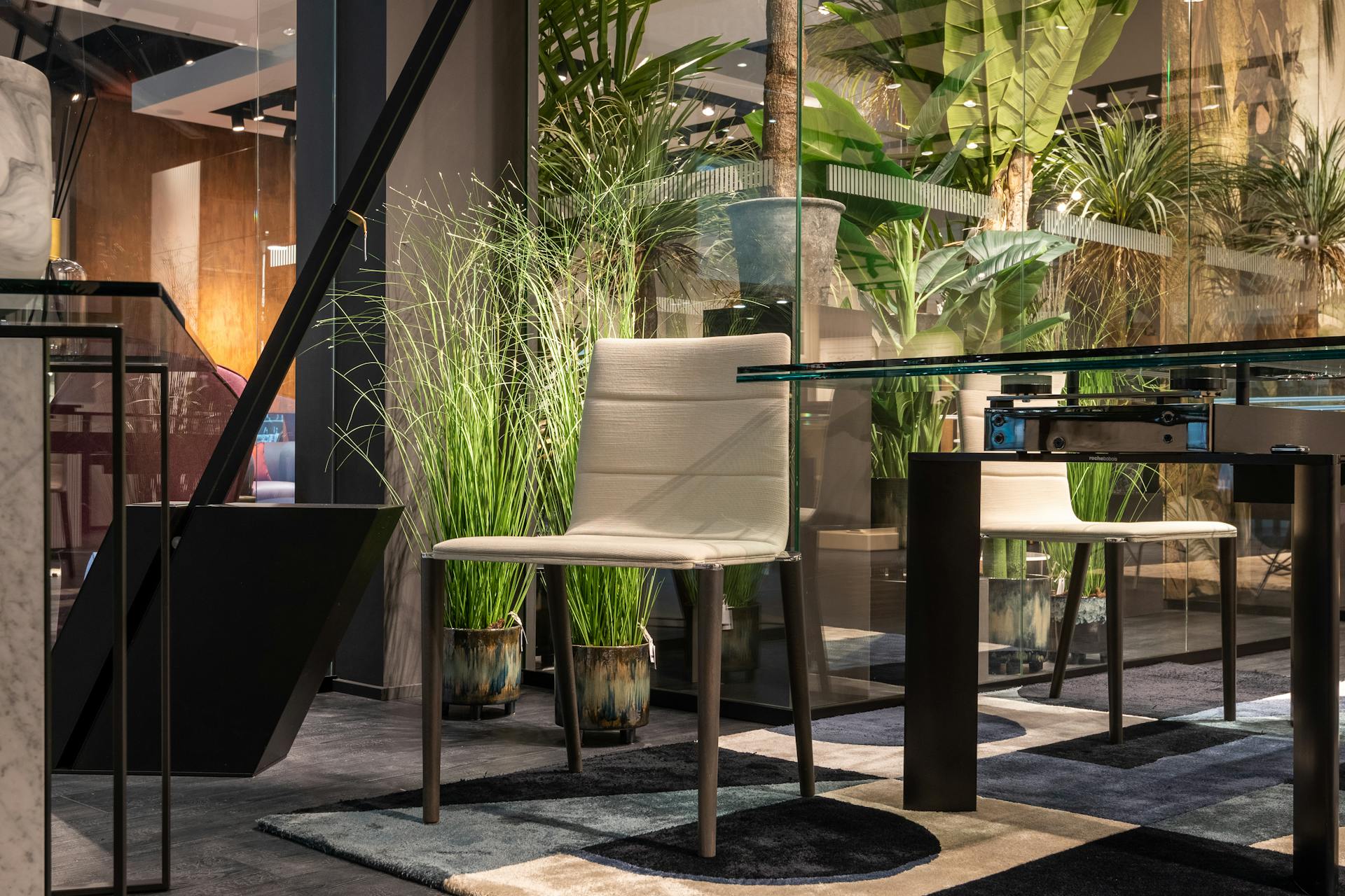 Luxe Kamerplanten