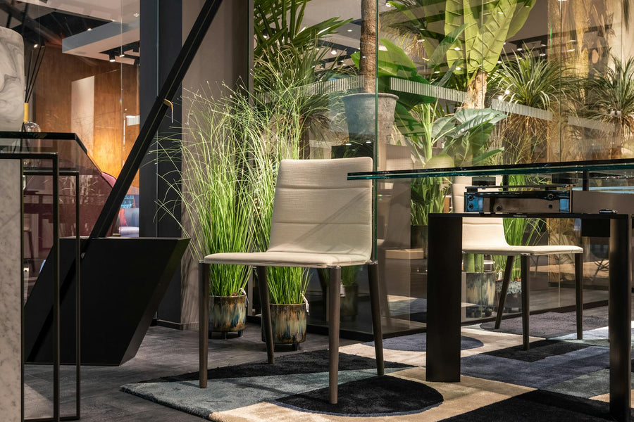 Luxe Kamerplanten