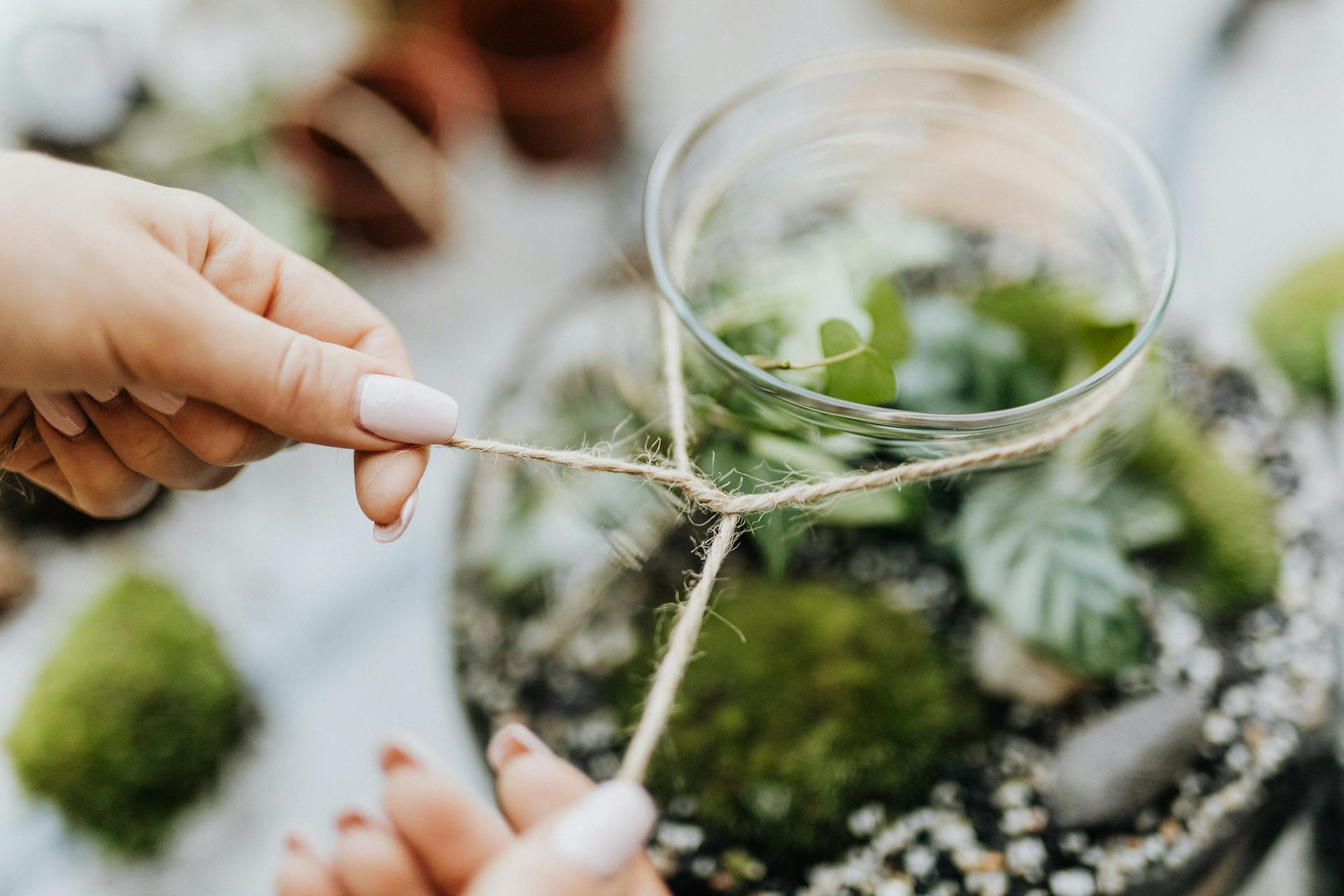 XL Terrariums