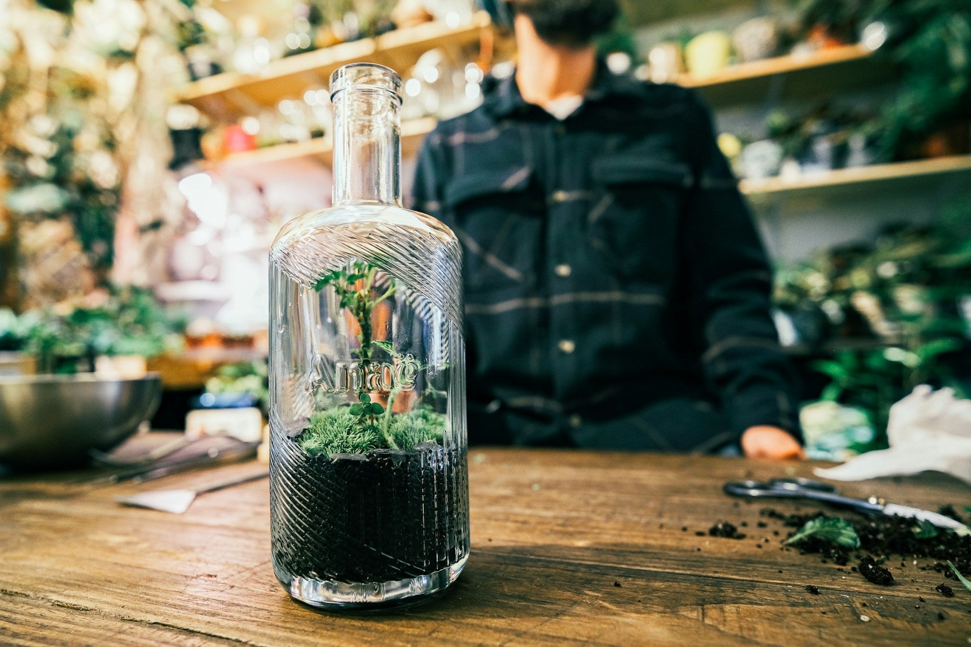 Mini Terrariums