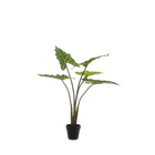 Alocasia Frydek Kunstplant (Olifantsoor)