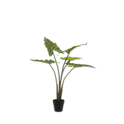 Alocasia Frydek Kunstplant (Olifantsoor)