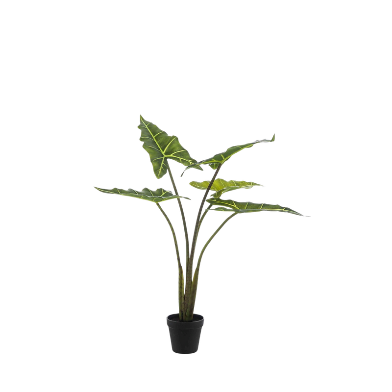 Alocasia Frydek Kunstplant (Olifantsoor)