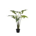 Alocasia Frydek Kunstplant (Olifantsoor)