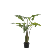 Alocasia Frydek Kunstplant (Olifantsoor)