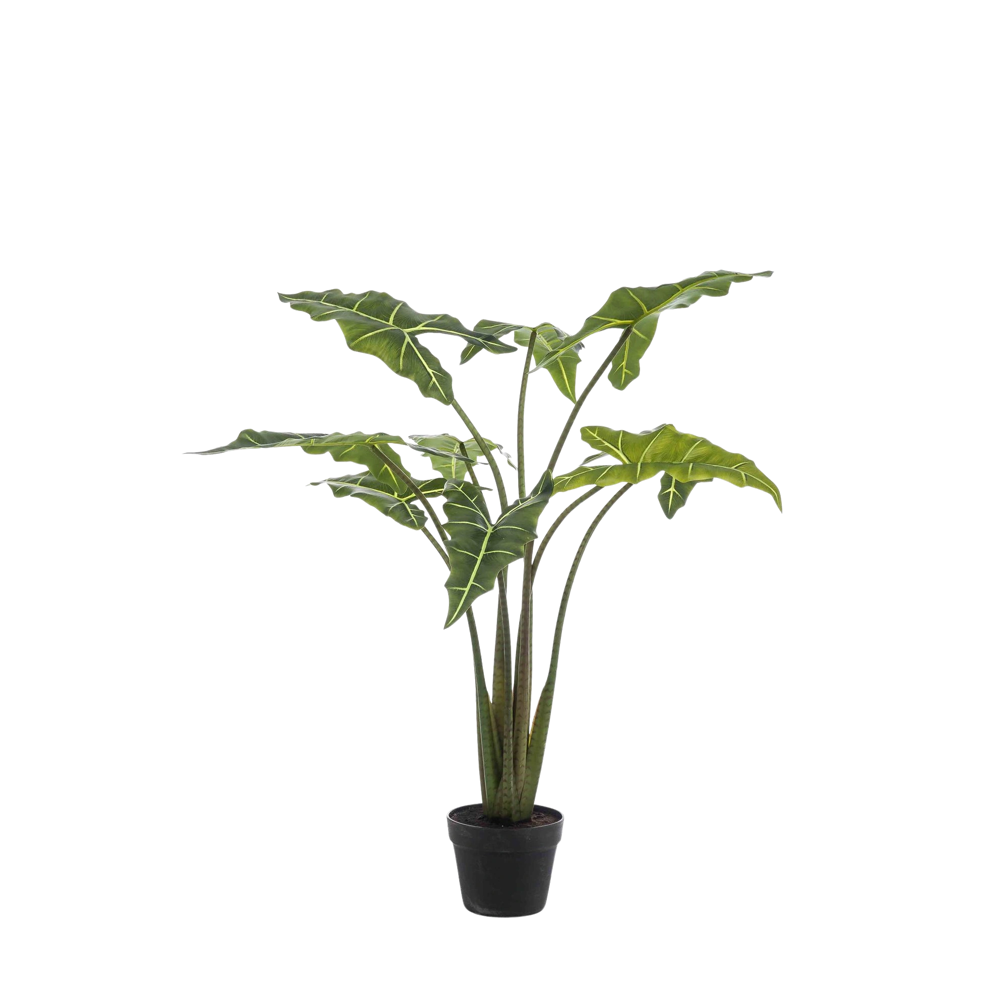 Alocasia Frydek Kunstplant (Olifantsoor)