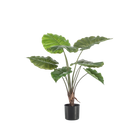 Alocasia Kunstplant (Olifantsoor)