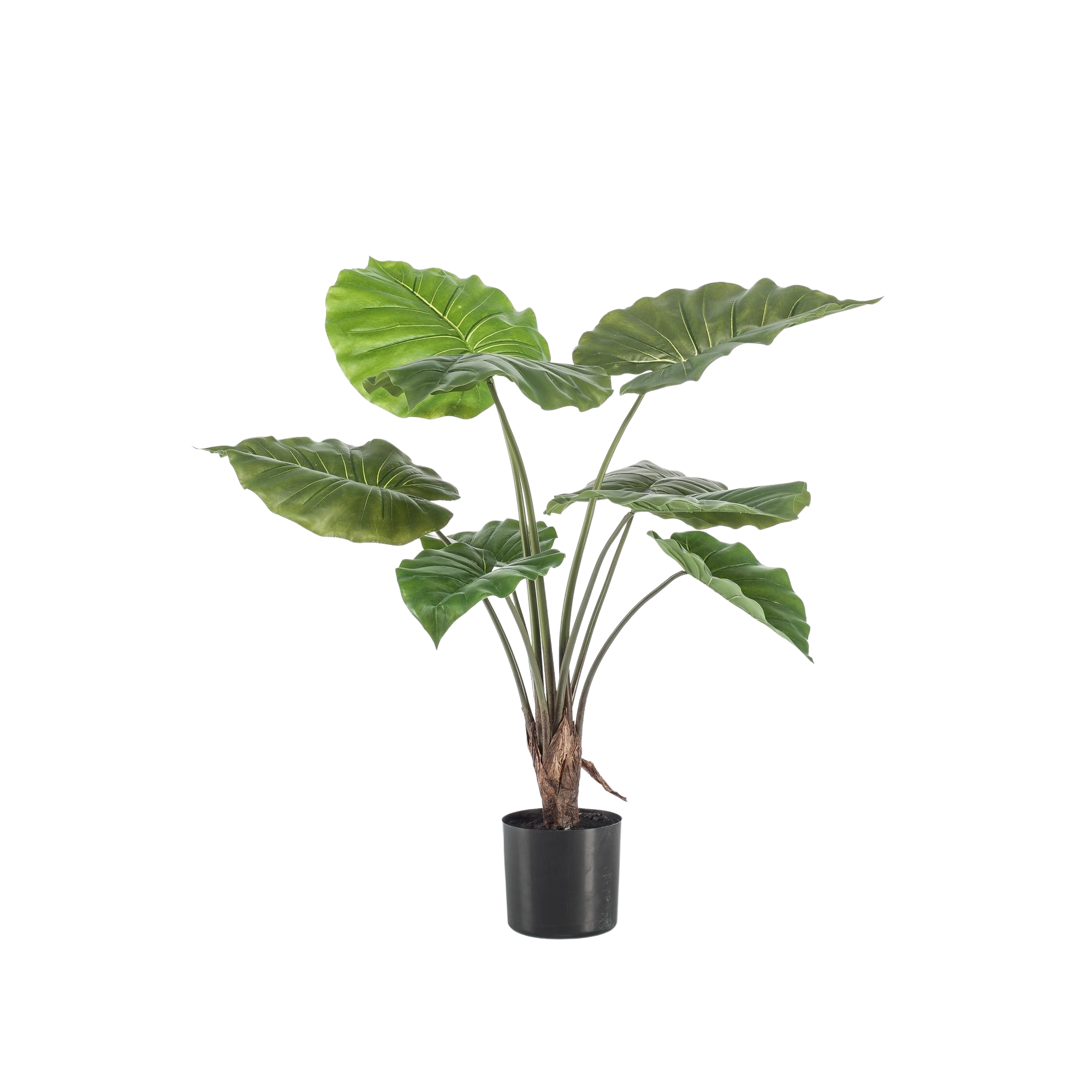 Alocasia Kunstplant (Olifantsoor)