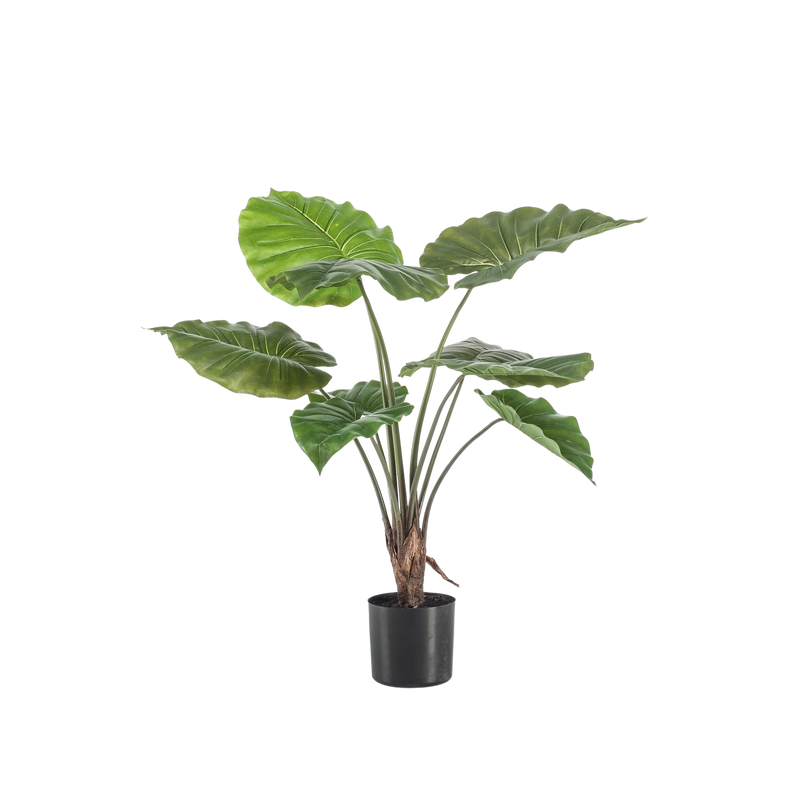 Alocasia Kunstplant (Olifantsoor)