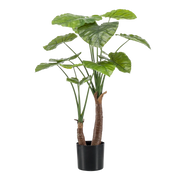 Alocasia Kunstplant (Olifantsoor) Everspring