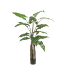 Alocasia kunstplant (Olifantsoor) Everspring