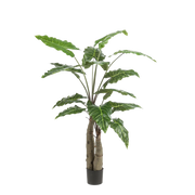 Alocasia kunstplant (Olifantsoor) Everspring