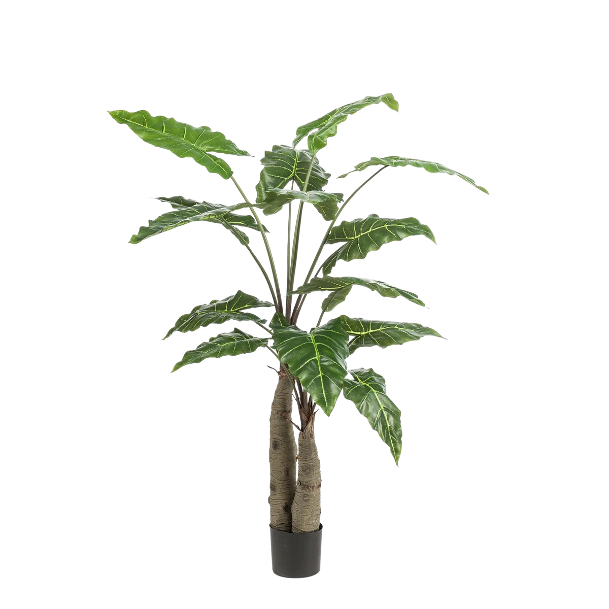 Alocasia kunstplant (Olifantsoor) Everspring