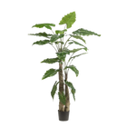 Alocasia kunstplant (Olifantsoor) Everspring