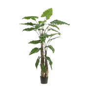 Alocasia kunstplant (Olifantsoor) Everspring