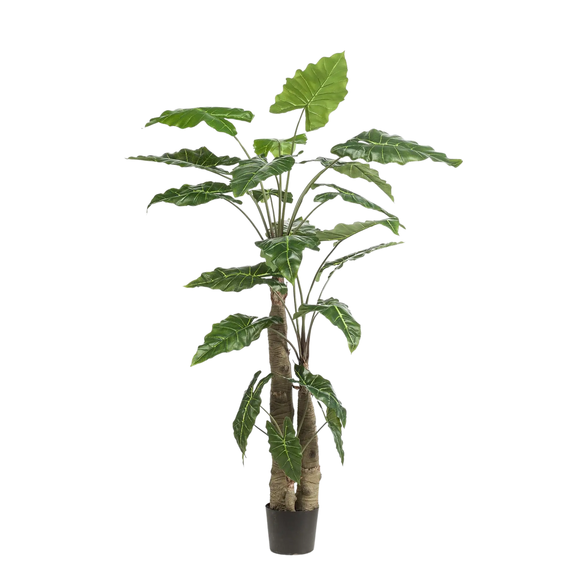 Alocasia kunstplant (Olifantsoor) Everspring