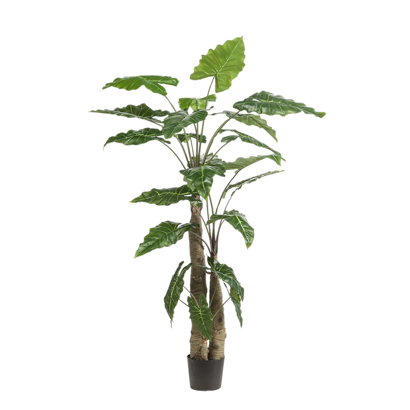 Alocasia kunstplant (Olifantsoor)