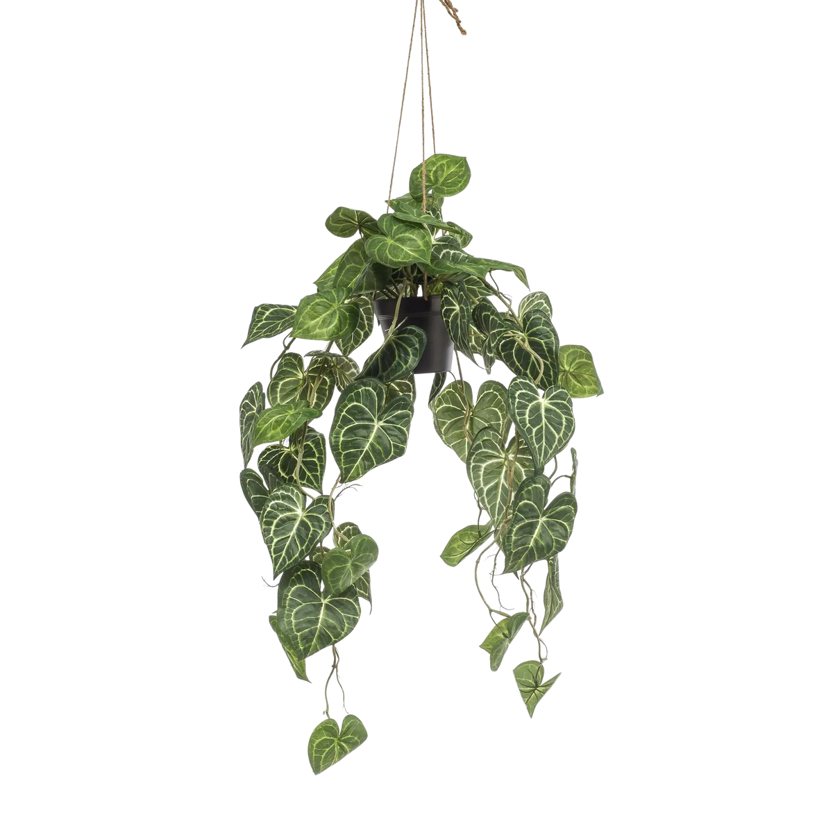 Anthurium Clarinervium Kunstplant (Aderplant) Everspring