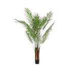 Areca Lutescens Kunstplant (Goudpalm) Everspring