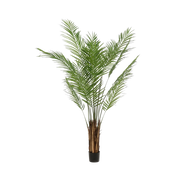 Areca Lutescens Kunstplant (Goudpalm) Everspring