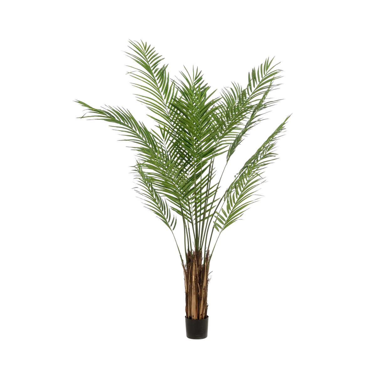 Areca Lutescens Kunstplant (Goudpalm) Everspring