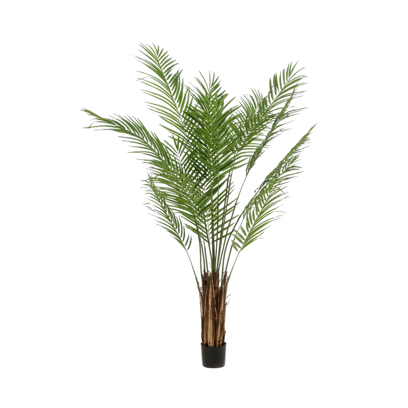 Areca Lutescens Kunstplant (Goudpalm)