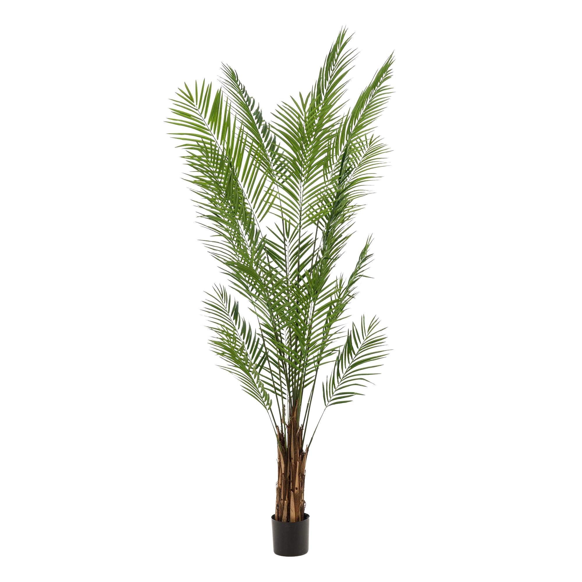 Areca Lutescens Kunstplant (Goudpalm)