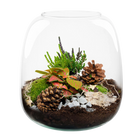 Berry Christmas Terrarium DIY Kit