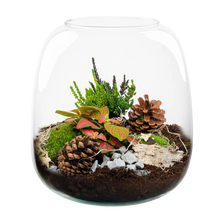 Berry Christmas Terrarium DIY Kit