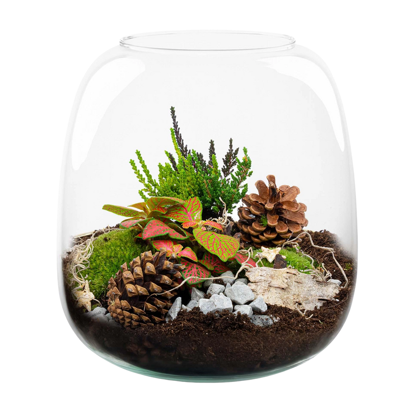 Berry Christmas Terrarium DIY Kit