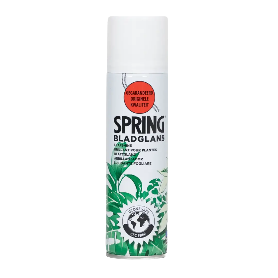 Bladglans Everspring