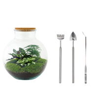 Bolder Bob Terrarium