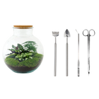 Bolder Bob Terrarium