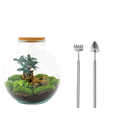 Bolder Bob Bonsai Terrarium