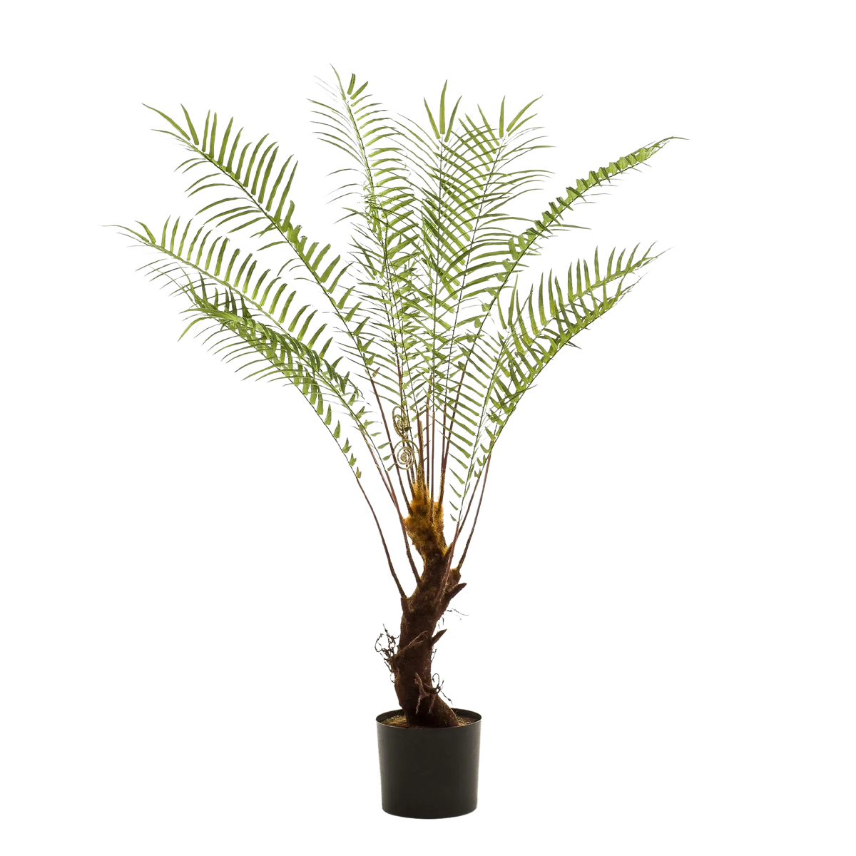 Boomvaren Kunstplant Everspring