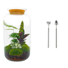 Botanical Sven XL - Terrarium