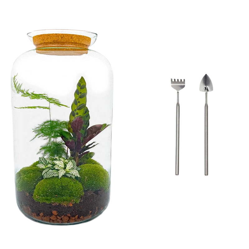 Botanical Sven XL - Terrarium